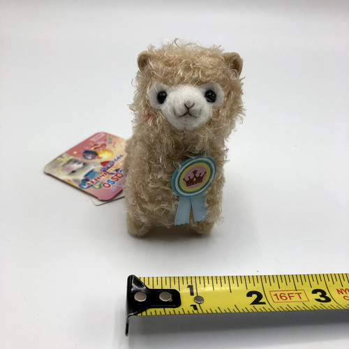 Amuse alpacasso arpakasso - amuse,
