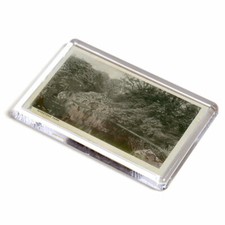 FRIDGE MAGNET - Vintage Essex