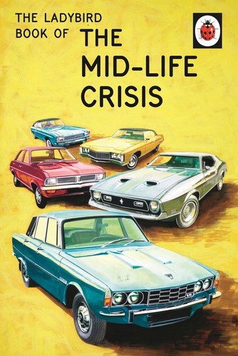 The ladybird book - ladybird,