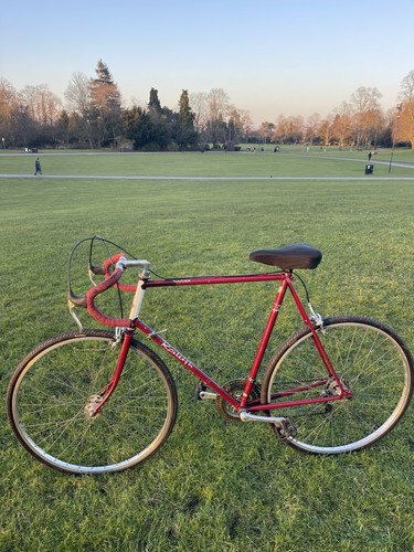 Raleigh routier road bike - raleigh,
