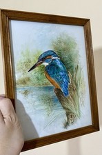 Original Framed Watercolour Painting Kingfisher Bird In Solid Wood Frame