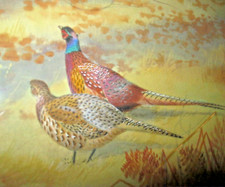 Philip Rickman 1891-1982.Original mixed media painting of Pheasants
