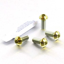 Titanium Pillion Footrest