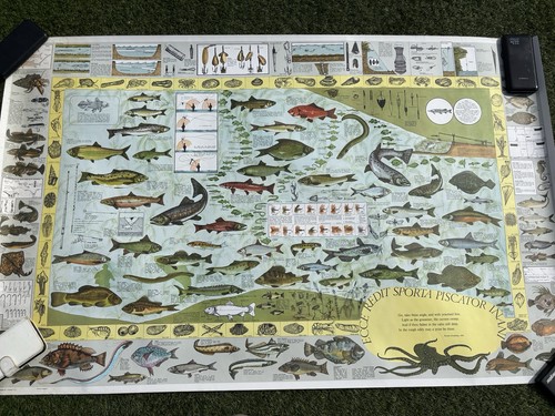 Vintage fishing chart fish - vintage,