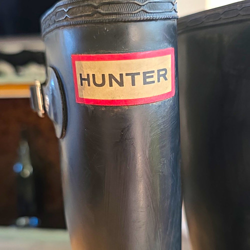 Hunter original tall - original,