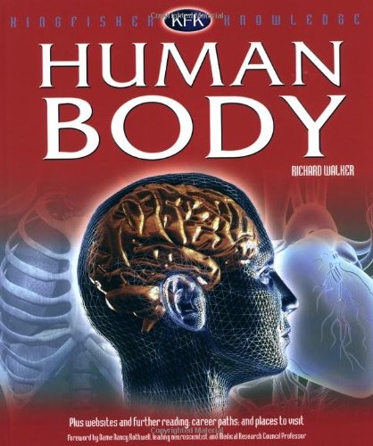 Human body kingfisher - human,