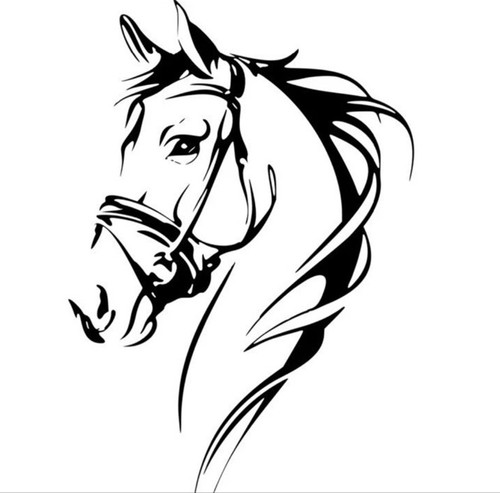 Horse box vinyl sticker custom - box,
