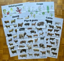 5 x A1 poster Life of the