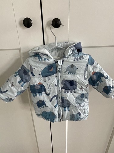 Next boys elephant puffer - next,