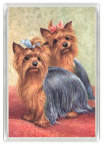 Yorkshire terrier dog fridge - yorkshire,