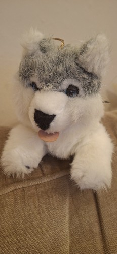 Vintage pms husky dog - dog, wolf