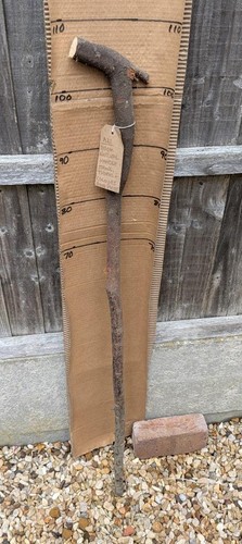 Blackthorn walking stick shank - walking,