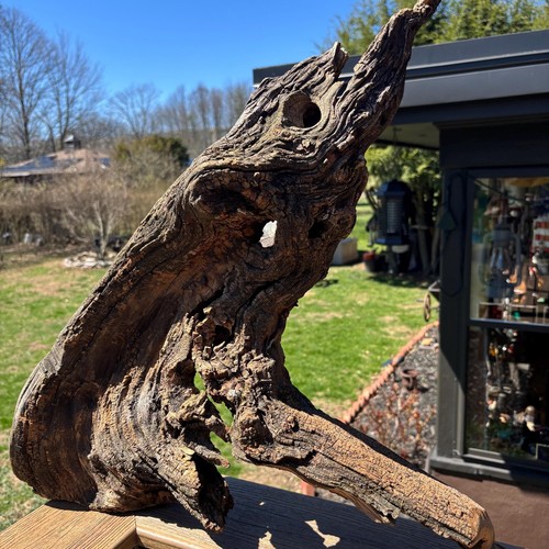 Dense hardwood driftwood - dense,