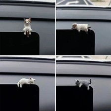 Cute sleeping kitten car - cute,