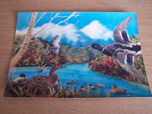 Lenticular vintage postcard - lenticular, of