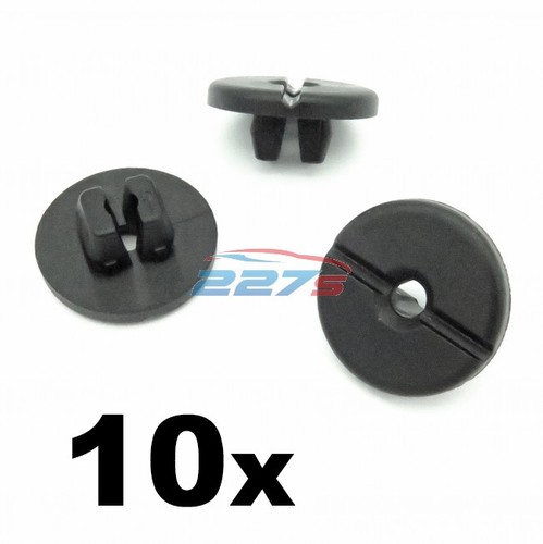 10x expansion nuts - nuts, /