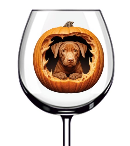 12x colourful halloween - colourful,