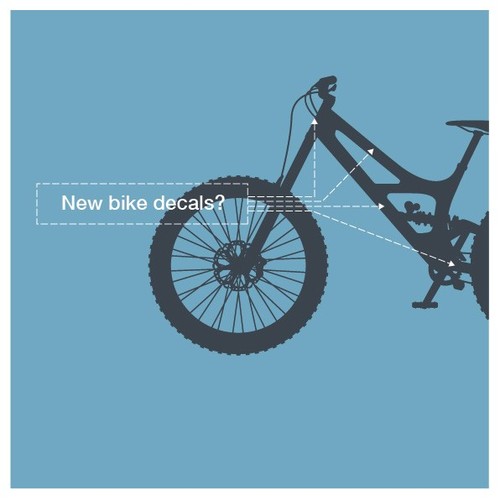 Special order bike - decals, (see