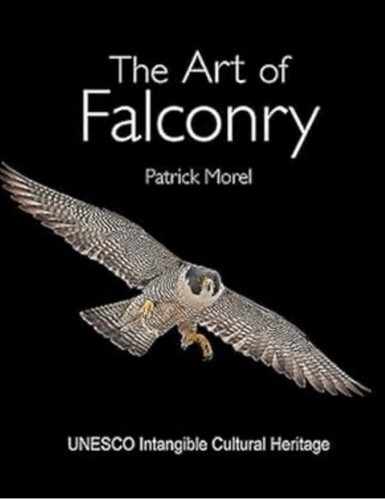 Art falconry patrick - art, by
