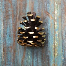 Solid Brass Pine Cone Door