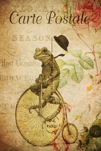 Frog penny farthing bicycle - &,