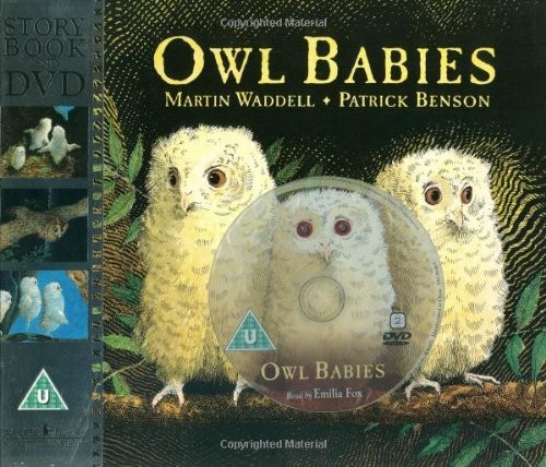 Owl babies by - babies, &