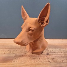 Xoloitzcuintle mexican - xoloitzcuintle, (mexican