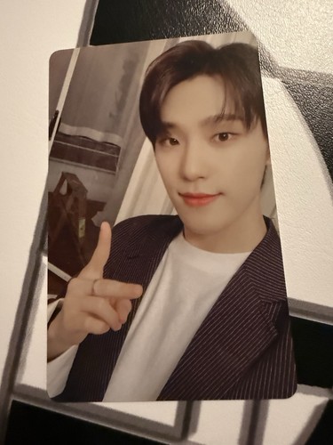 Official seventeen dino dicon - official,