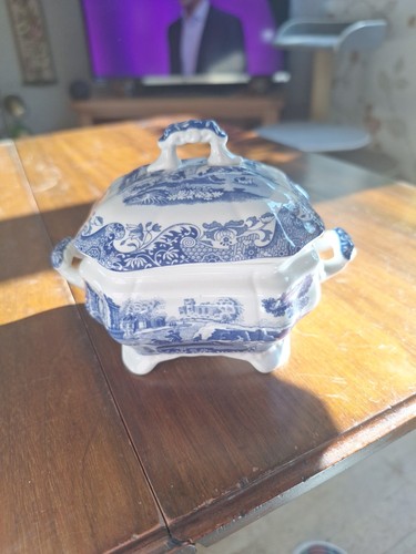 Spode italian tiny - italian,