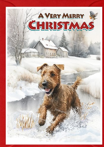 Irish terrier dog - dog, a6