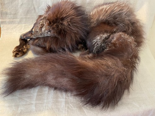 Vintage fox fur stole - fox,