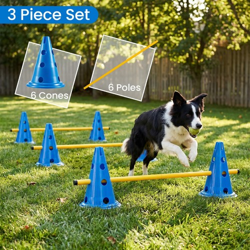 Dog agility equipment set - dog,