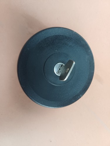 T25 genuine fuel - t25,