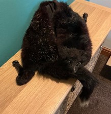 VINTAGE REAL FUR STOLE