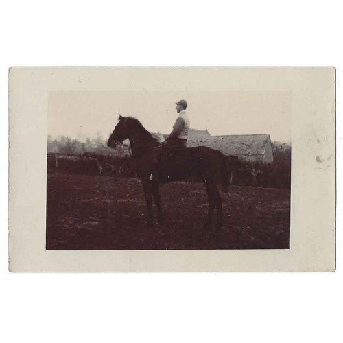 Wincanton racecourse horse - horse, &