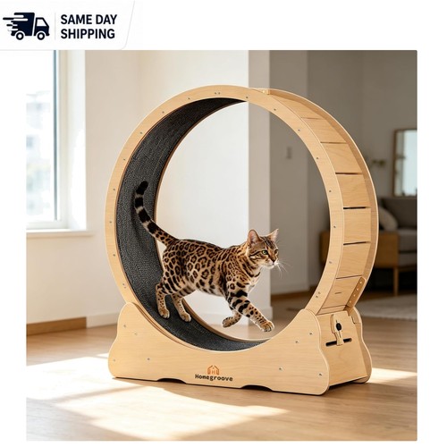 Carpeted cat exercise - carpeted, wheel