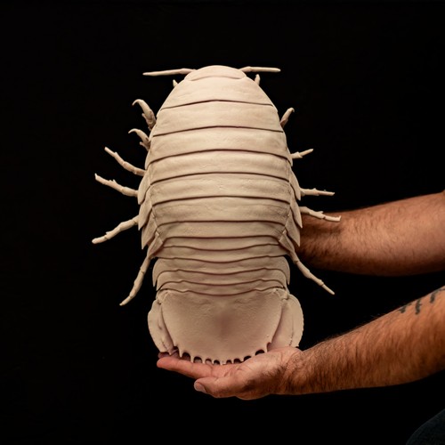 Giant isopod replica - isopod,