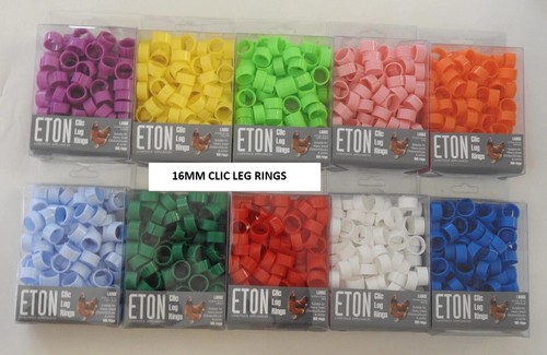 New packs 100 rings - new,
