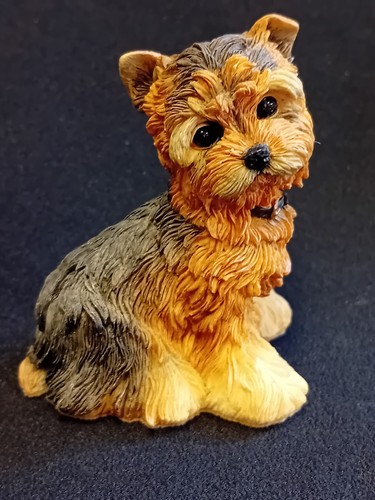Paw prints yorkshire terrier - prints, 'yorkshire