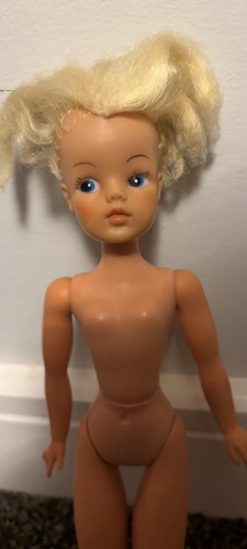 Vintage pedigree sindy doll - vintage,