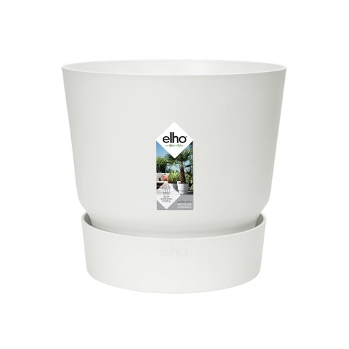 Greenville round 14cm flower - greenville,