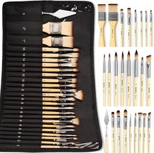 25-Piece Professional Paint