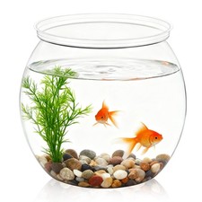 Mini Plastic Fish Bowl 27 Oz