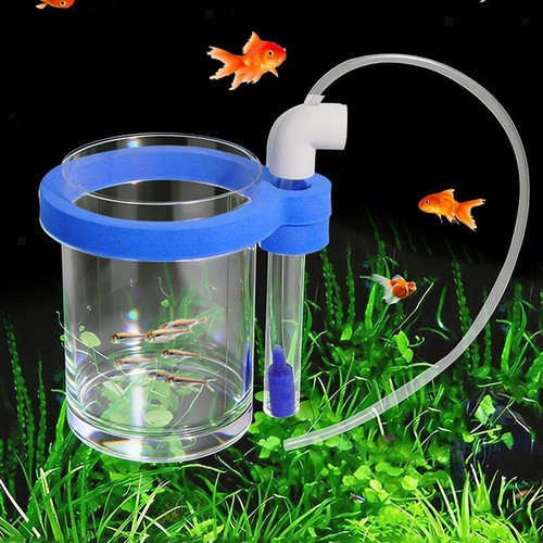 Aquarium fish breeding box - fish,