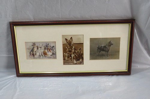 Vintage framed dog print - vintage,