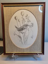 Signed Sketch Of Wren By John