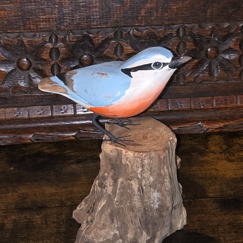 Archipelago wooden nuthatch - archipelago,