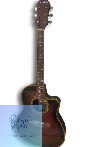 Pro martin electric acoustic - pro,