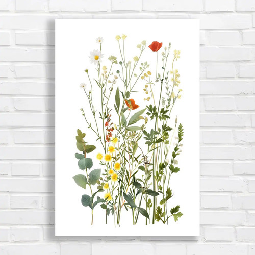 Botanical field wildflowers - of,