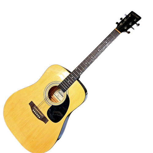 Falcon fg100n dreadnought - fg100n,